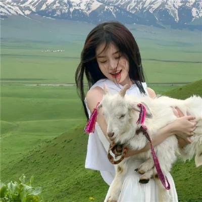 风尘莽汉